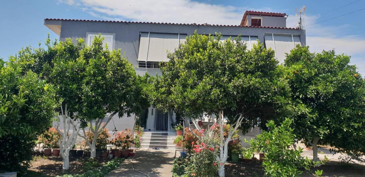 Anila Guest house Divjake