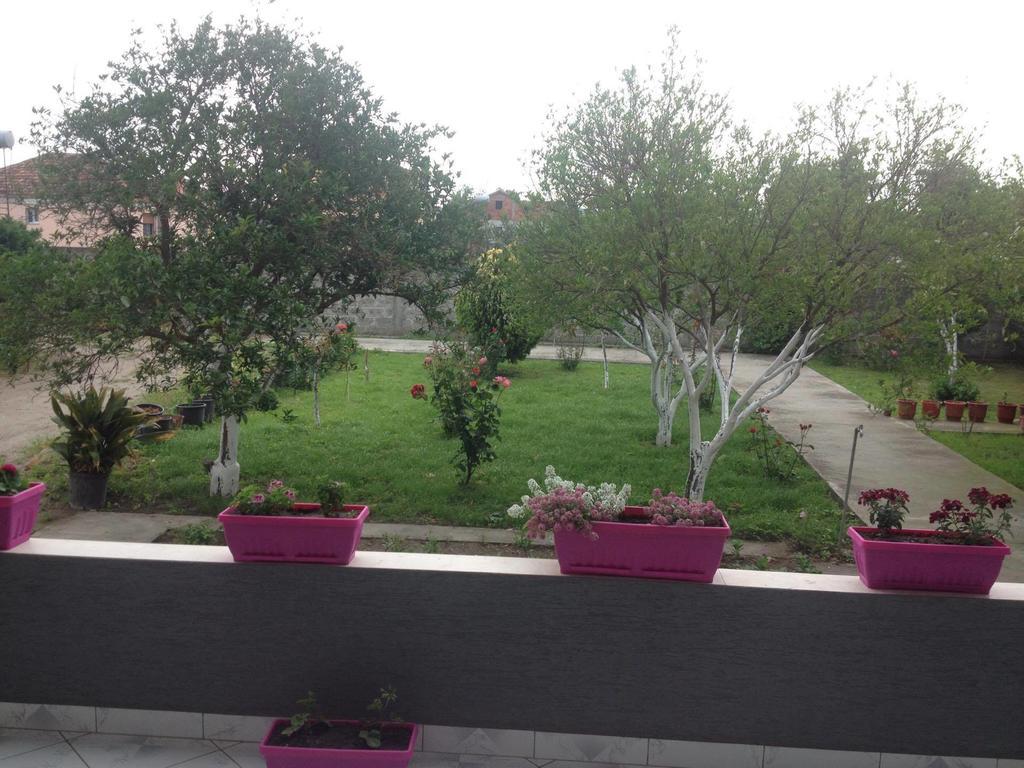 Anila Guest house *