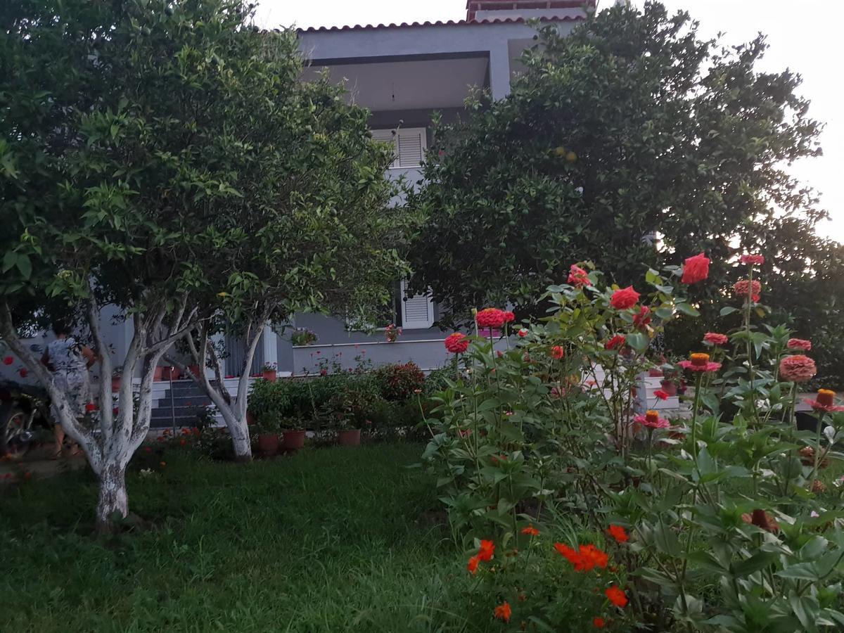 Guest house Anila
